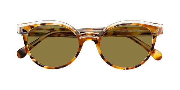 Front of Forest in Ginger Tortoise