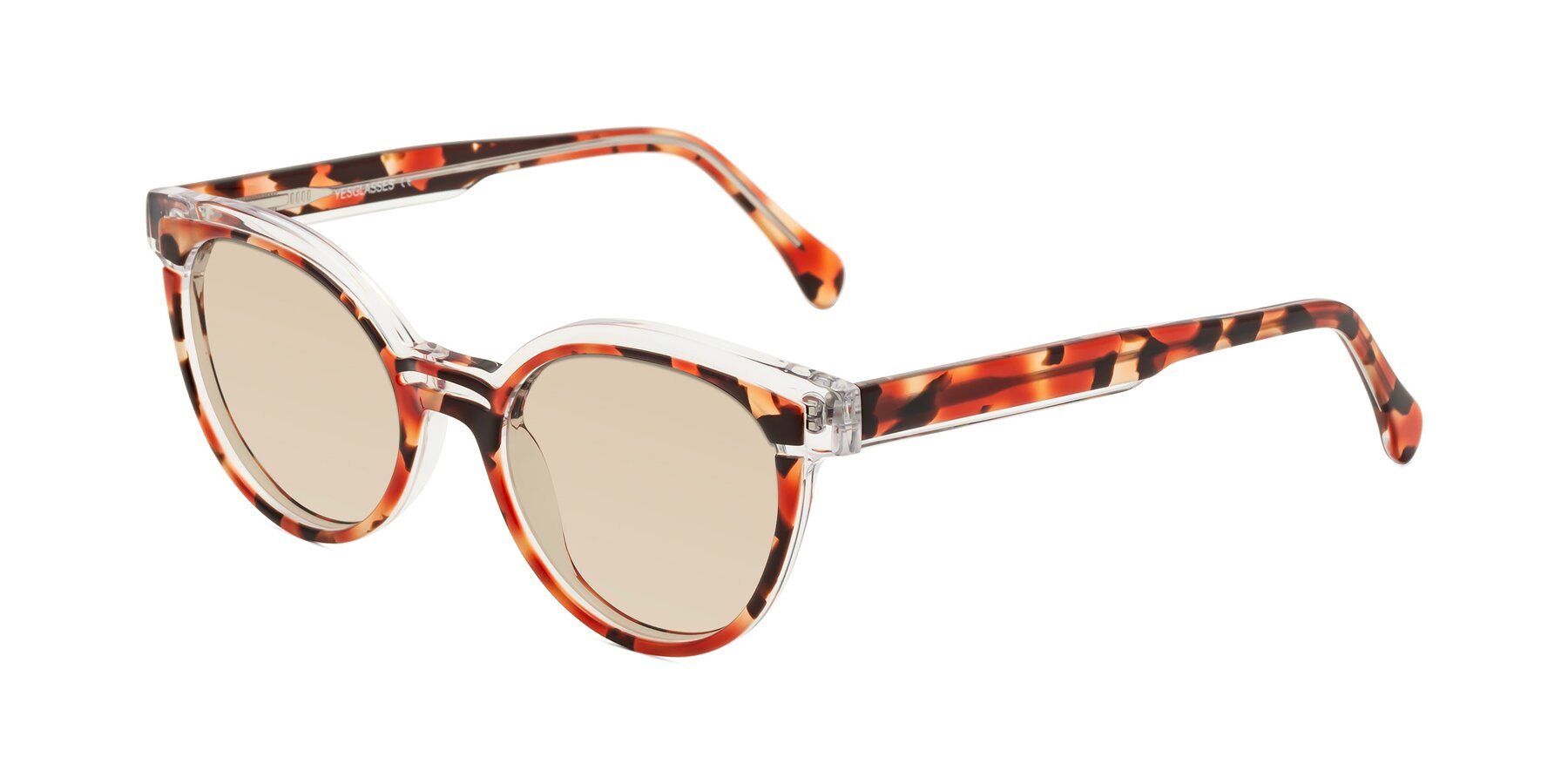 Angle of Forest in Vermillion Tortoise with Light Brown Tinted Lenses