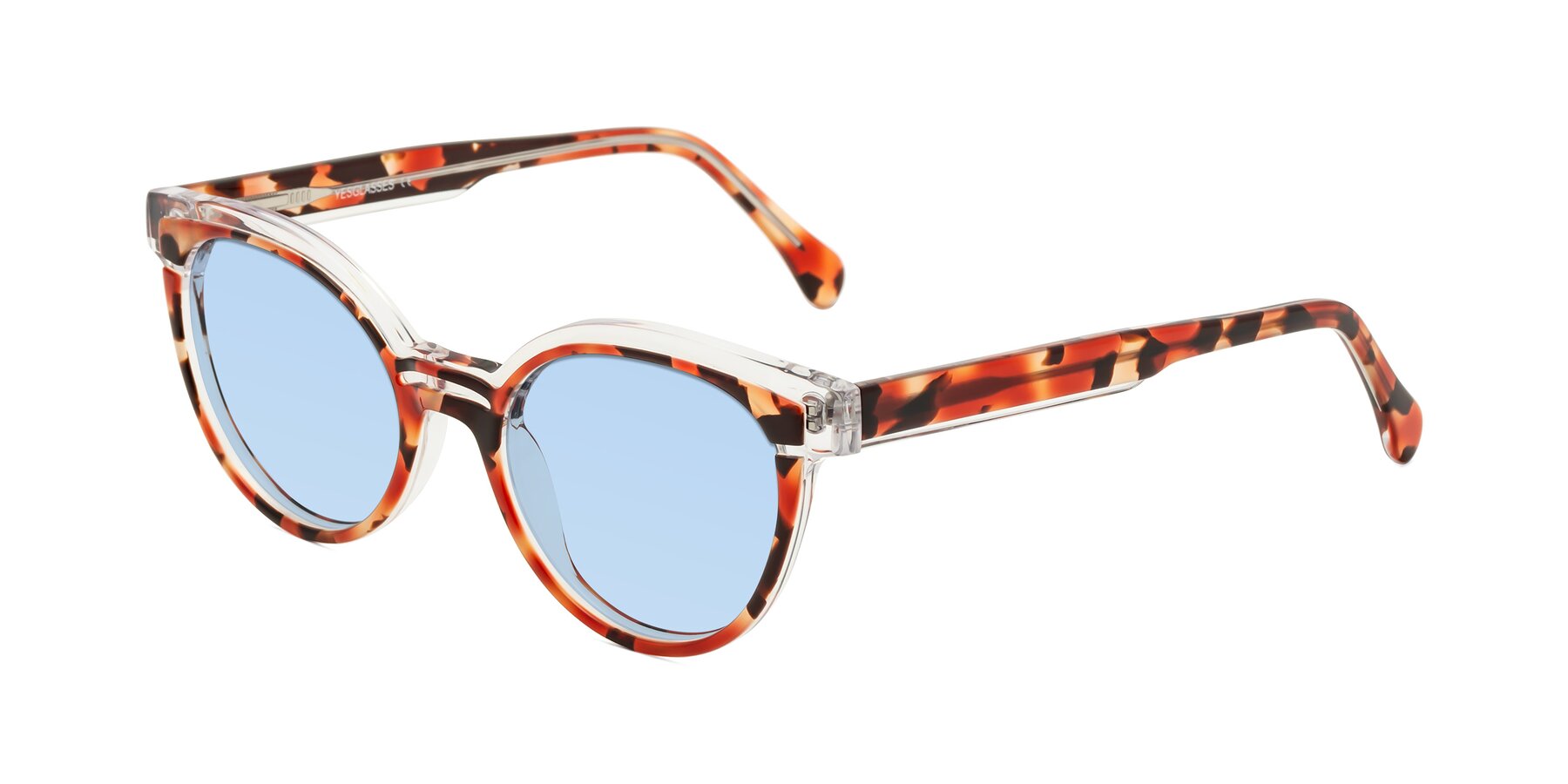 Angle of Forest in Vermillion Tortoise with Light Blue Tinted Lenses