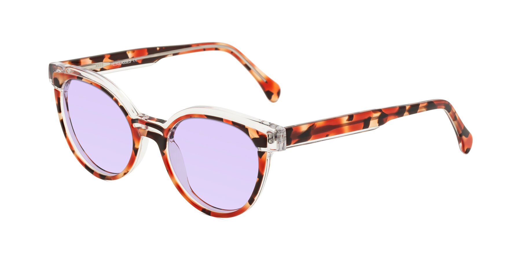 Angle of Forest in Vermillion Tortoise with Light Purple Tinted Lenses