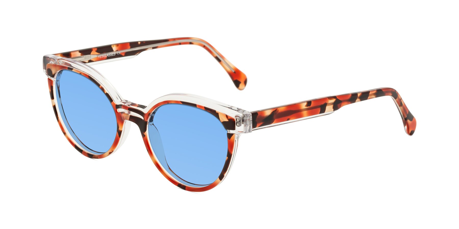 Angle of Forest in Vermillion Tortoise with Medium Blue Tinted Lenses