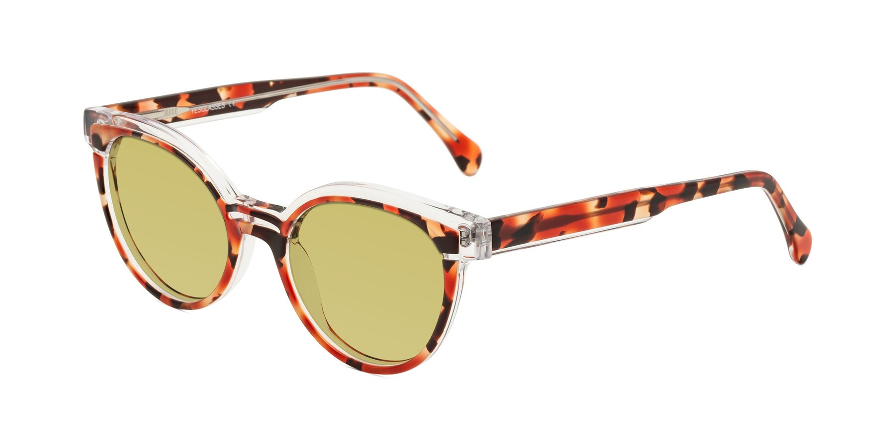 Angle of Forest in Vermillion Tortoise with Medium Champagne Tinted Lenses