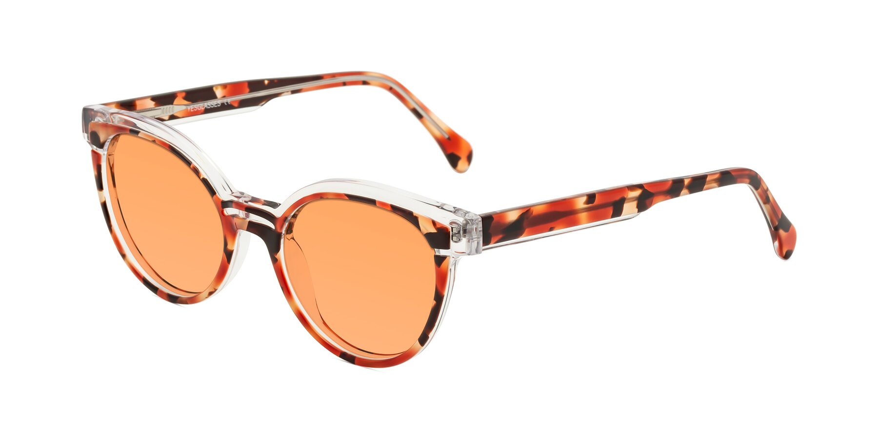 Angle of Forest in Vermillion Tortoise with Medium Orange Tinted Lenses