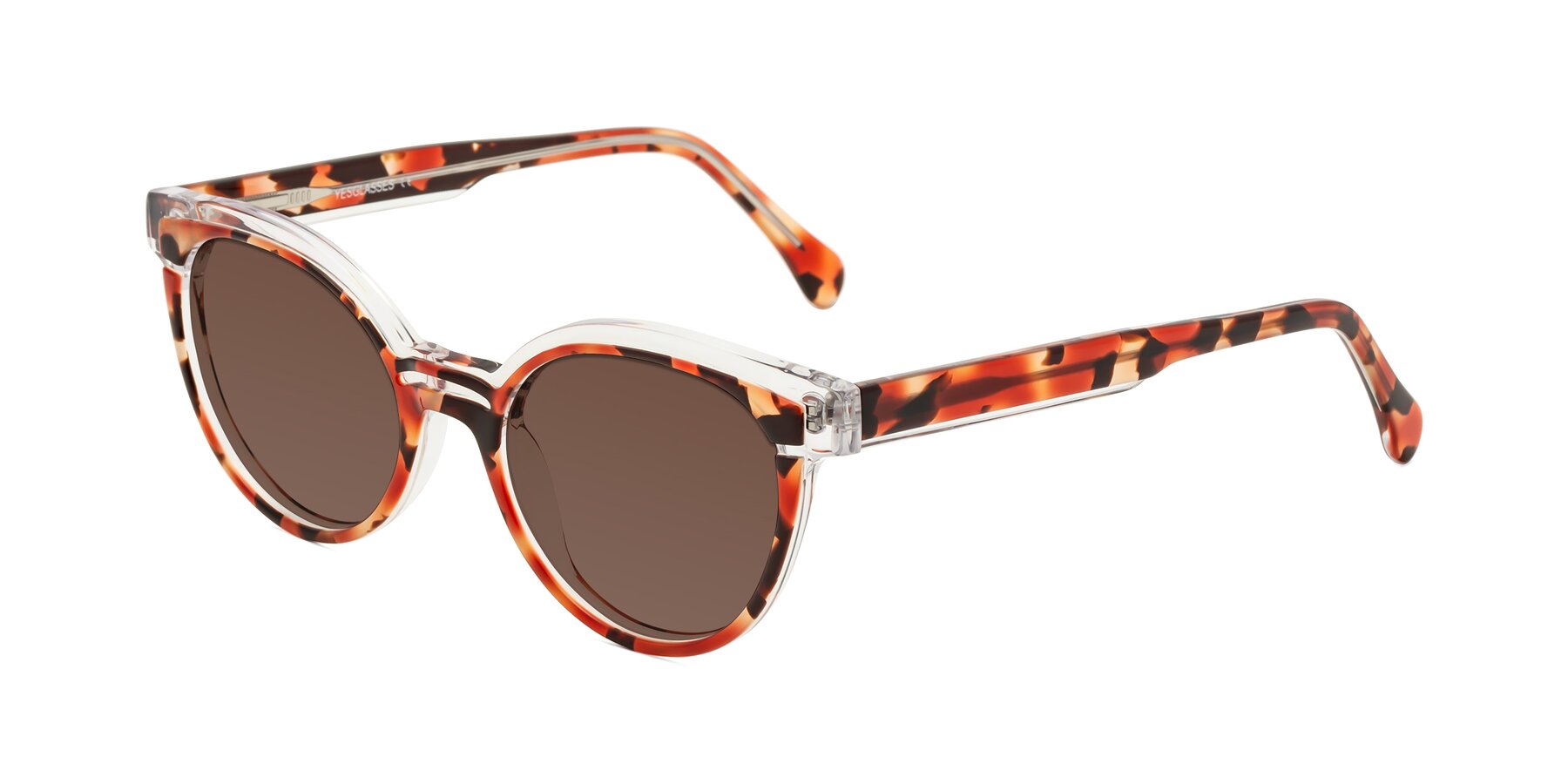 Angle of Forest in Vermillion Tortoise with Brown Tinted Lenses