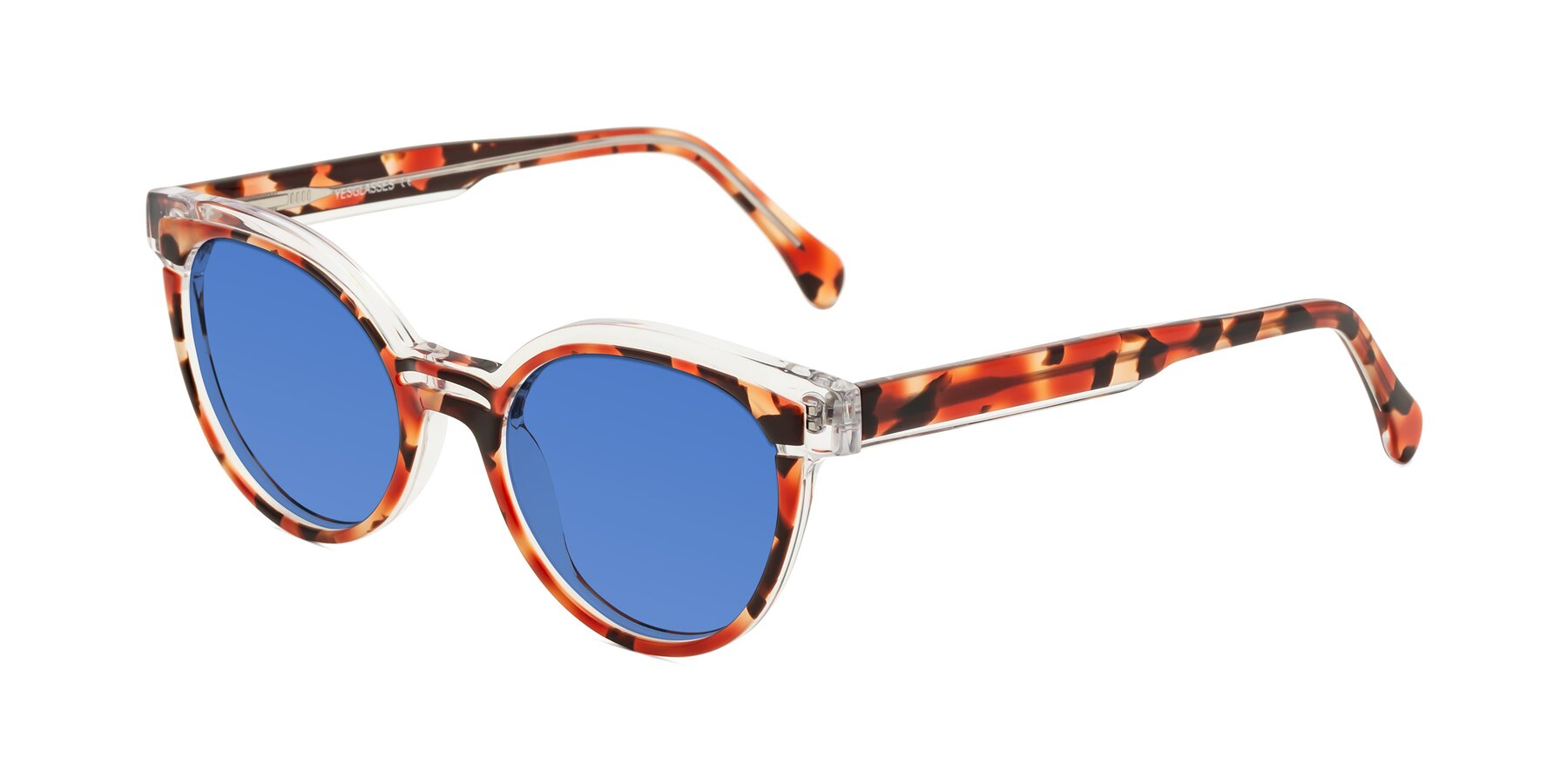 Angle of Forest in Vermillion Tortoise with Blue Tinted Lenses
