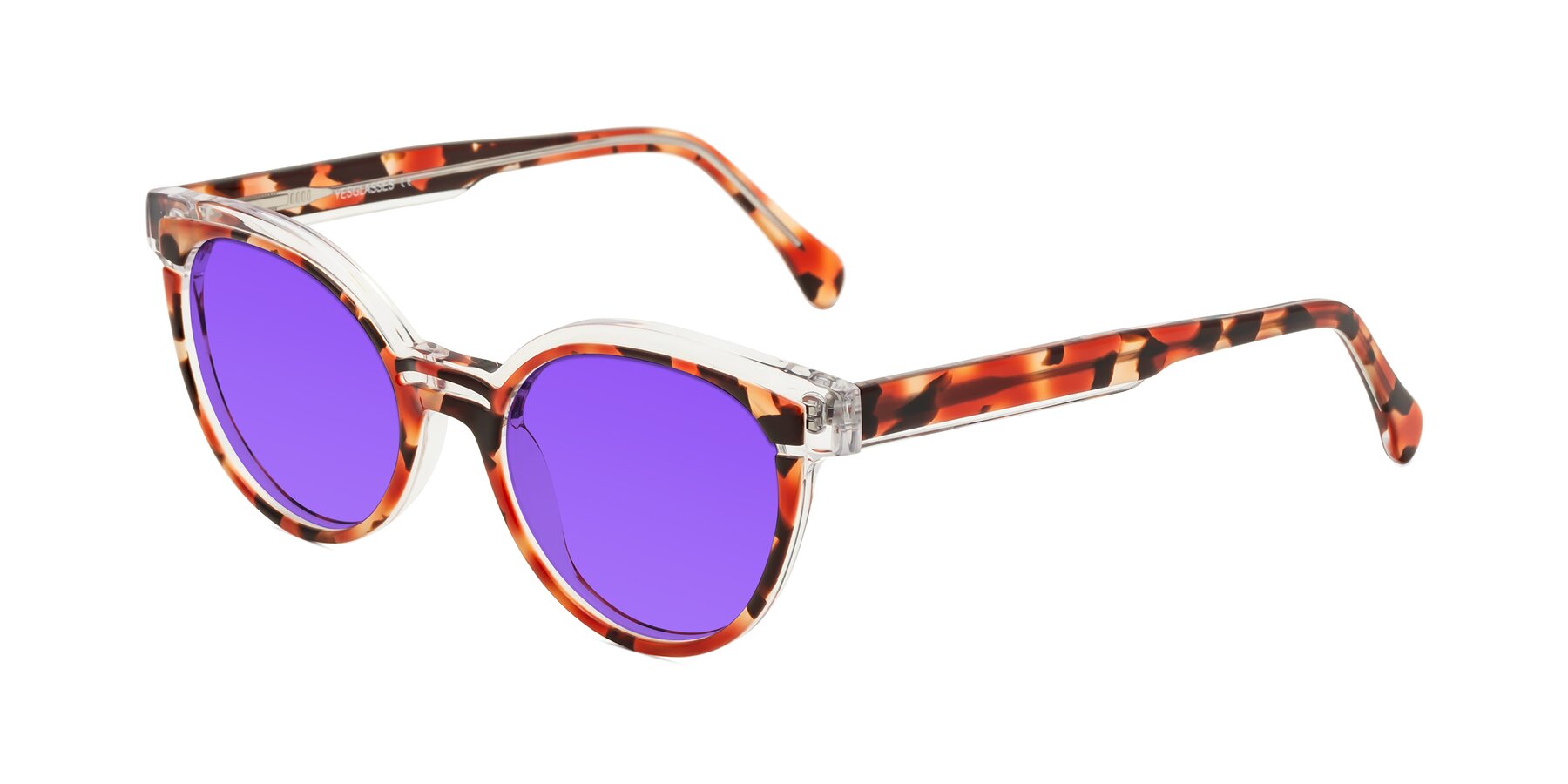 Angle of Forest in Vermillion Tortoise with Purple Tinted Lenses