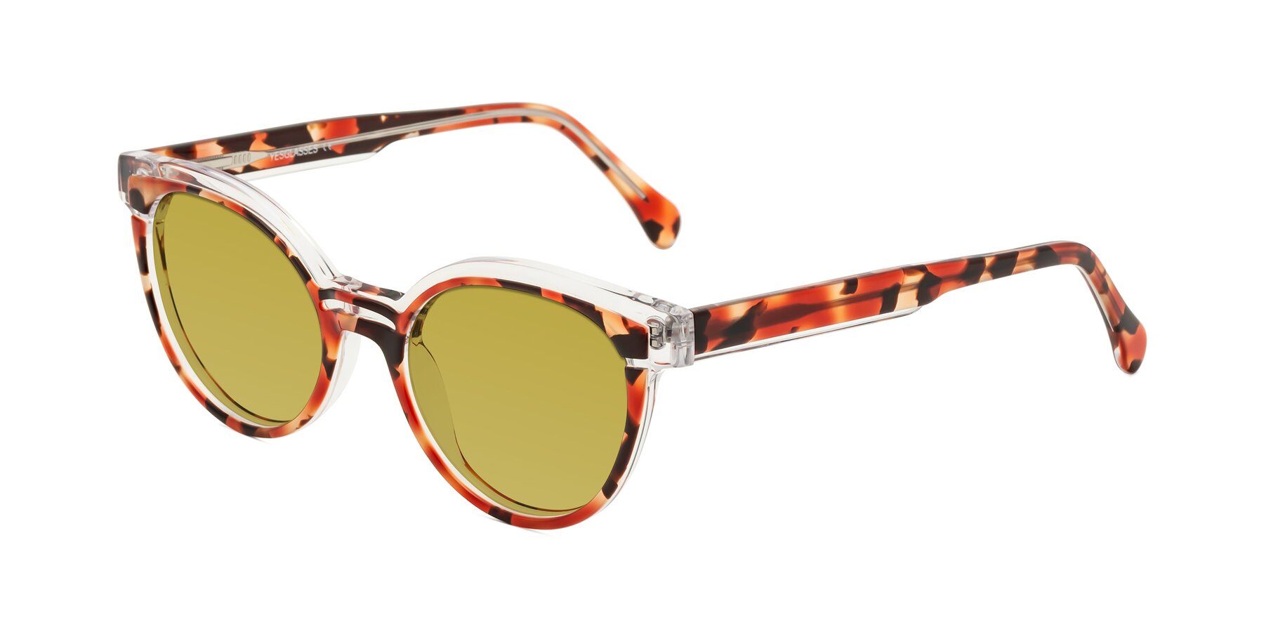 Angle of Forest in Vermillion Tortoise with Champagne Tinted Lenses
