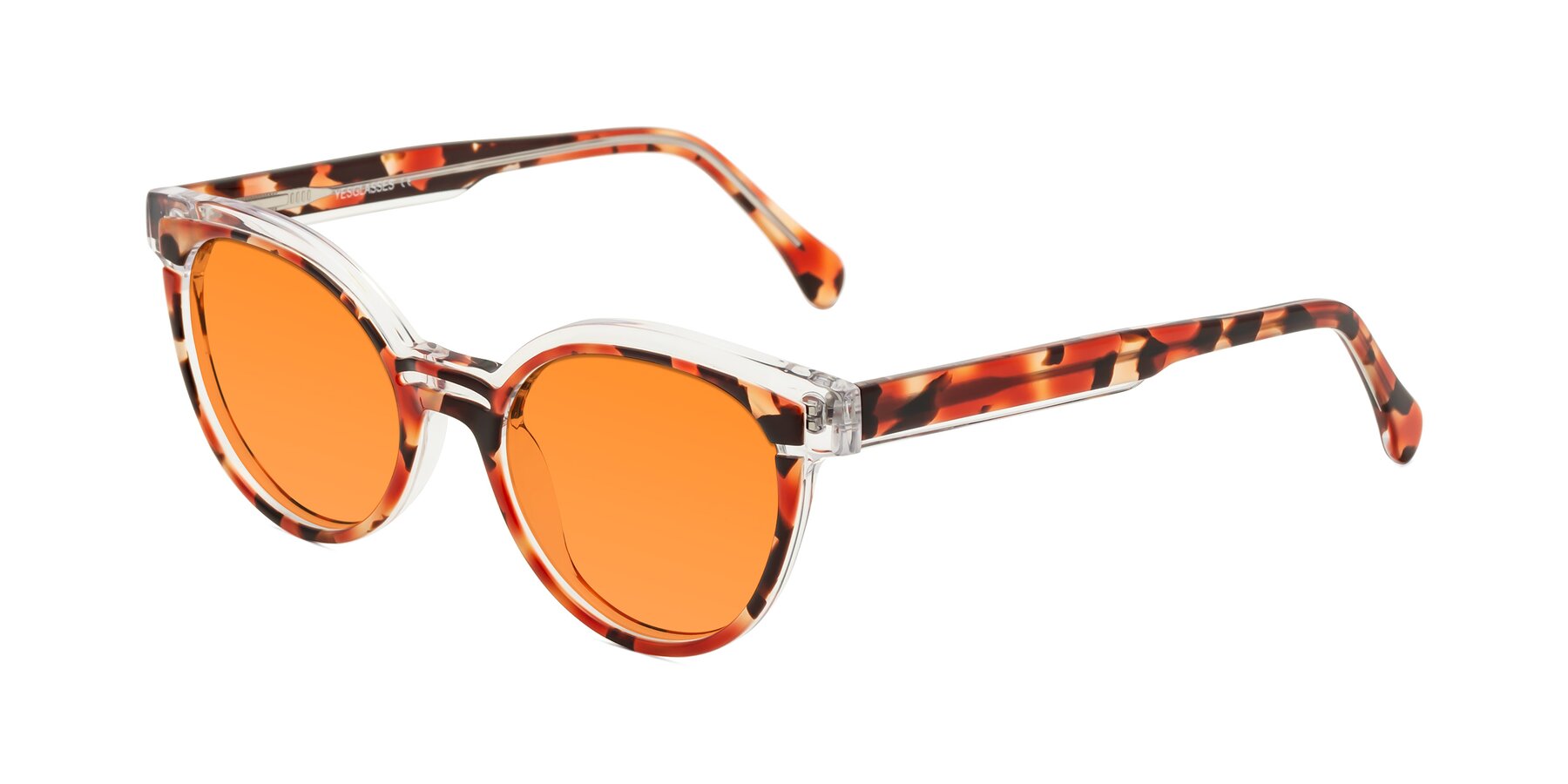 Angle of Forest in Vermillion Tortoise with Orange Tinted Lenses