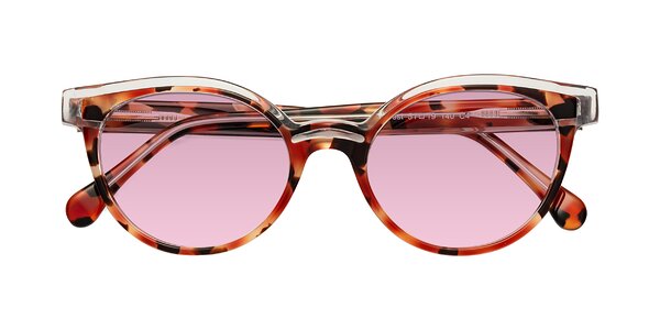 Front of Forest in Vermillion Tortoise