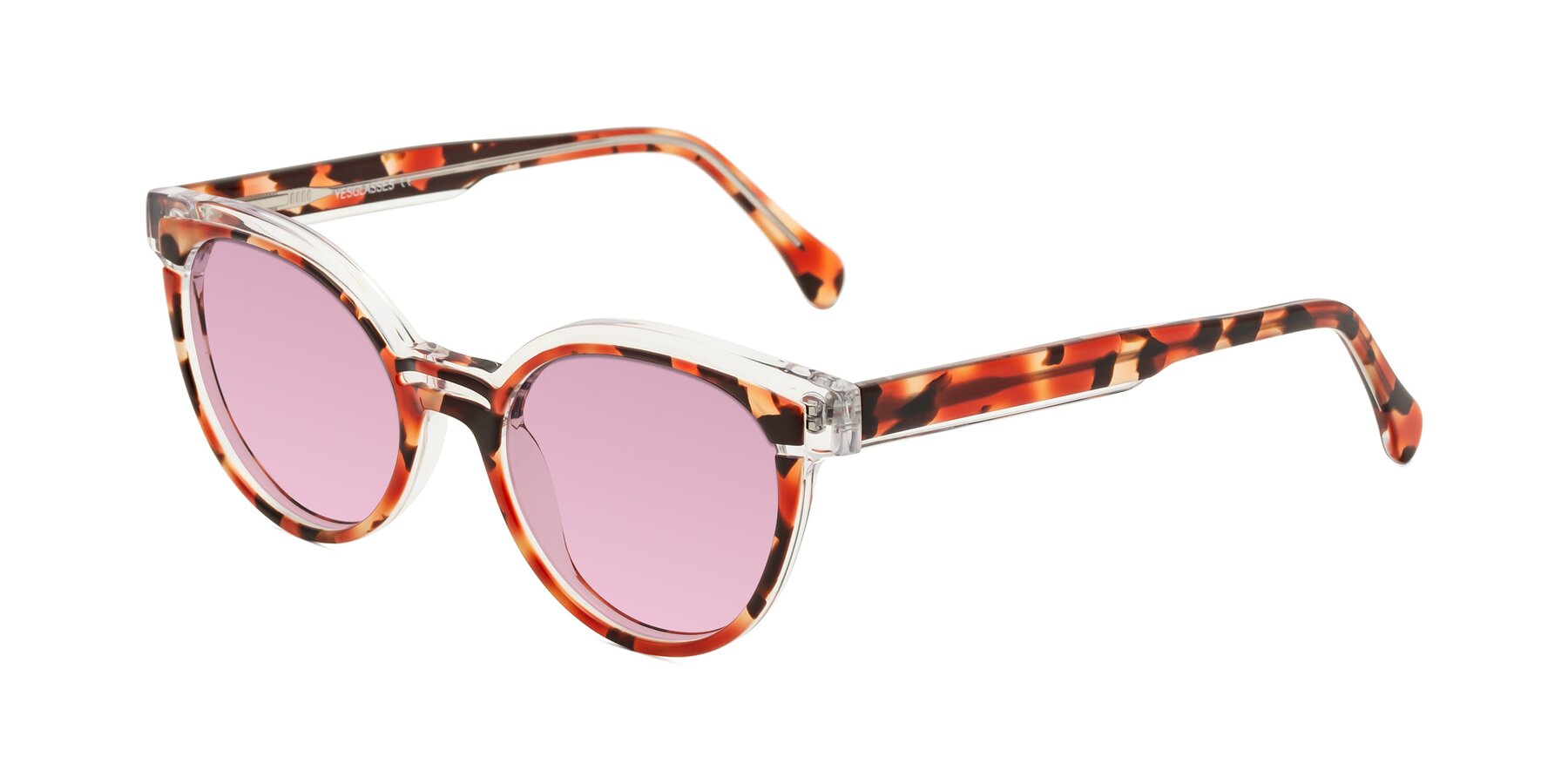 Angle of Forest in Vermillion Tortoise with Light Wine Tinted Lenses