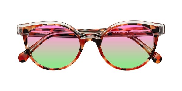 Front of Forest in Vermillion Tortoise