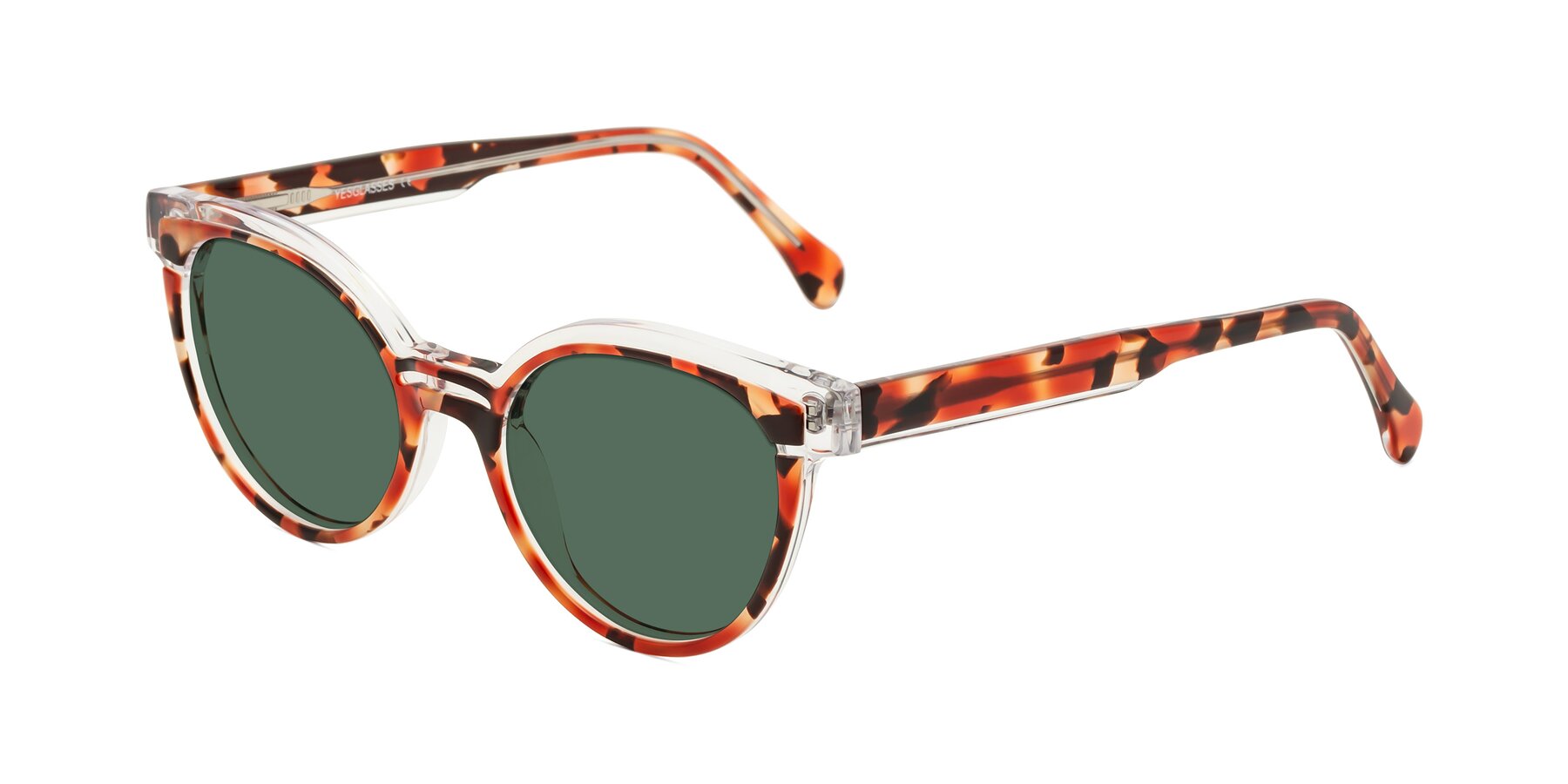 Angle of Forest in Vermillion Tortoise with Green Polarized Lenses