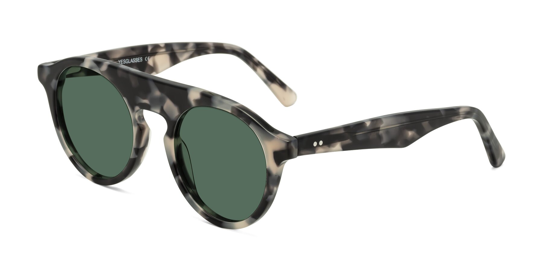 Angle of Band in Ivory Tortoise with Green Polarized Lenses