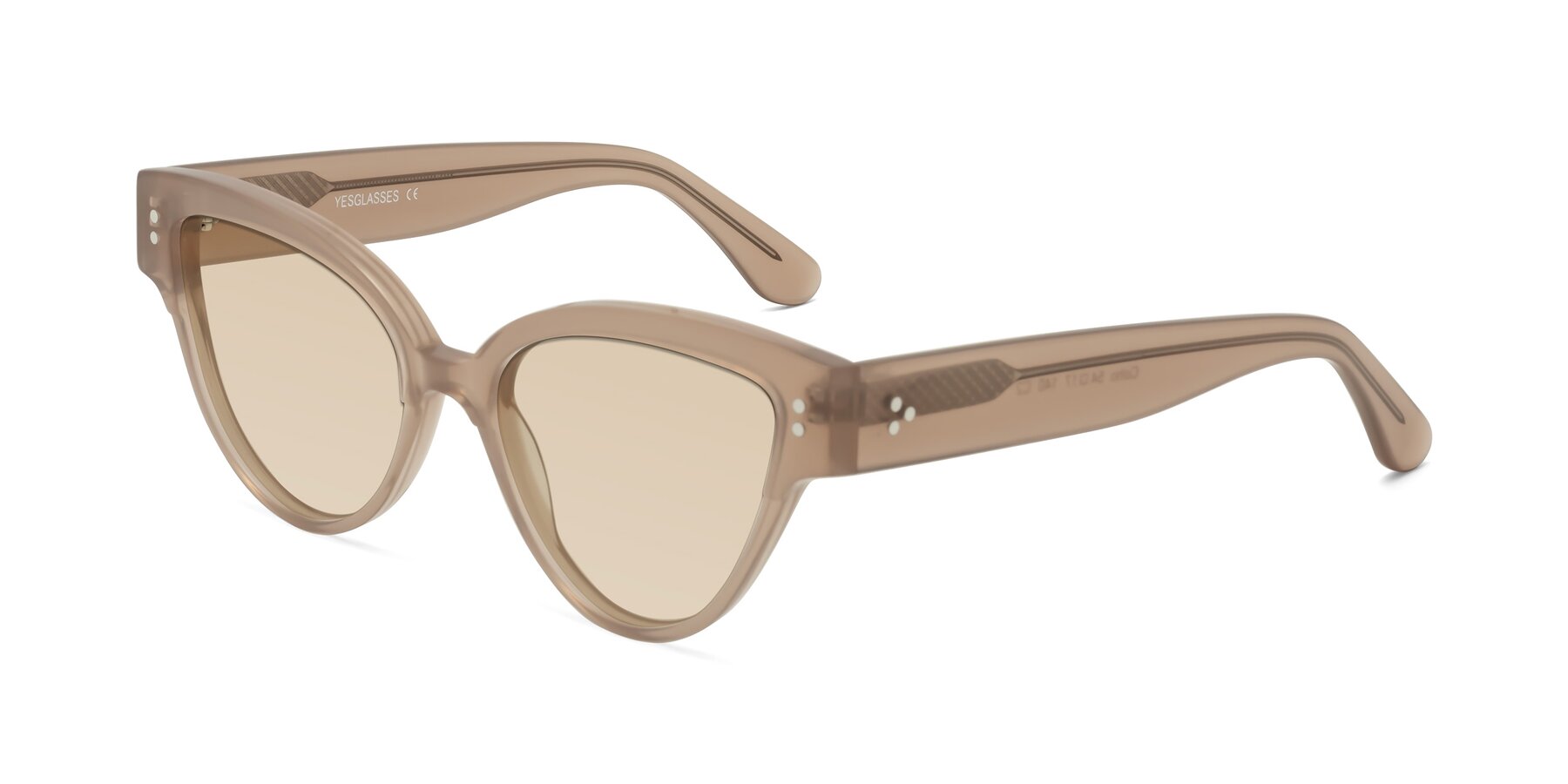 Angle of Coho in Taupe with Light Brown Tinted Lenses