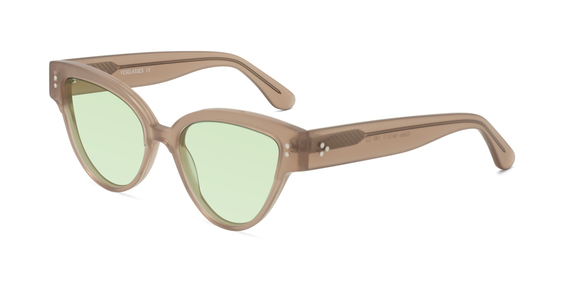 Angle of Coho in Taupe with Light Green Tinted Lenses