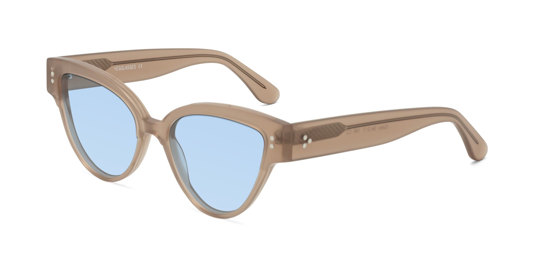 Angle of Coho in Taupe with Light Blue Tinted Lenses
