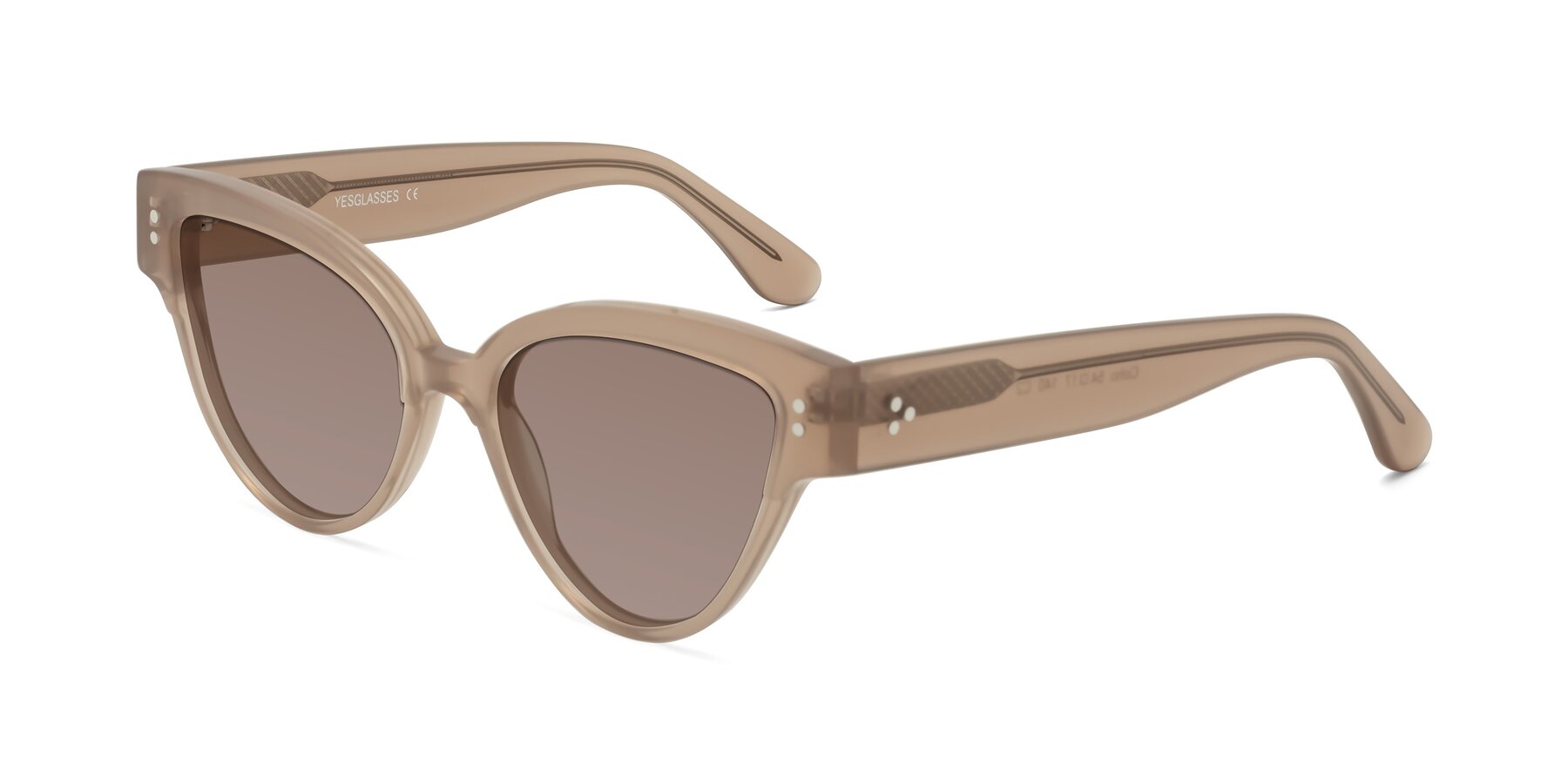 Angle of Coho in Taupe with Medium Brown Tinted Lenses