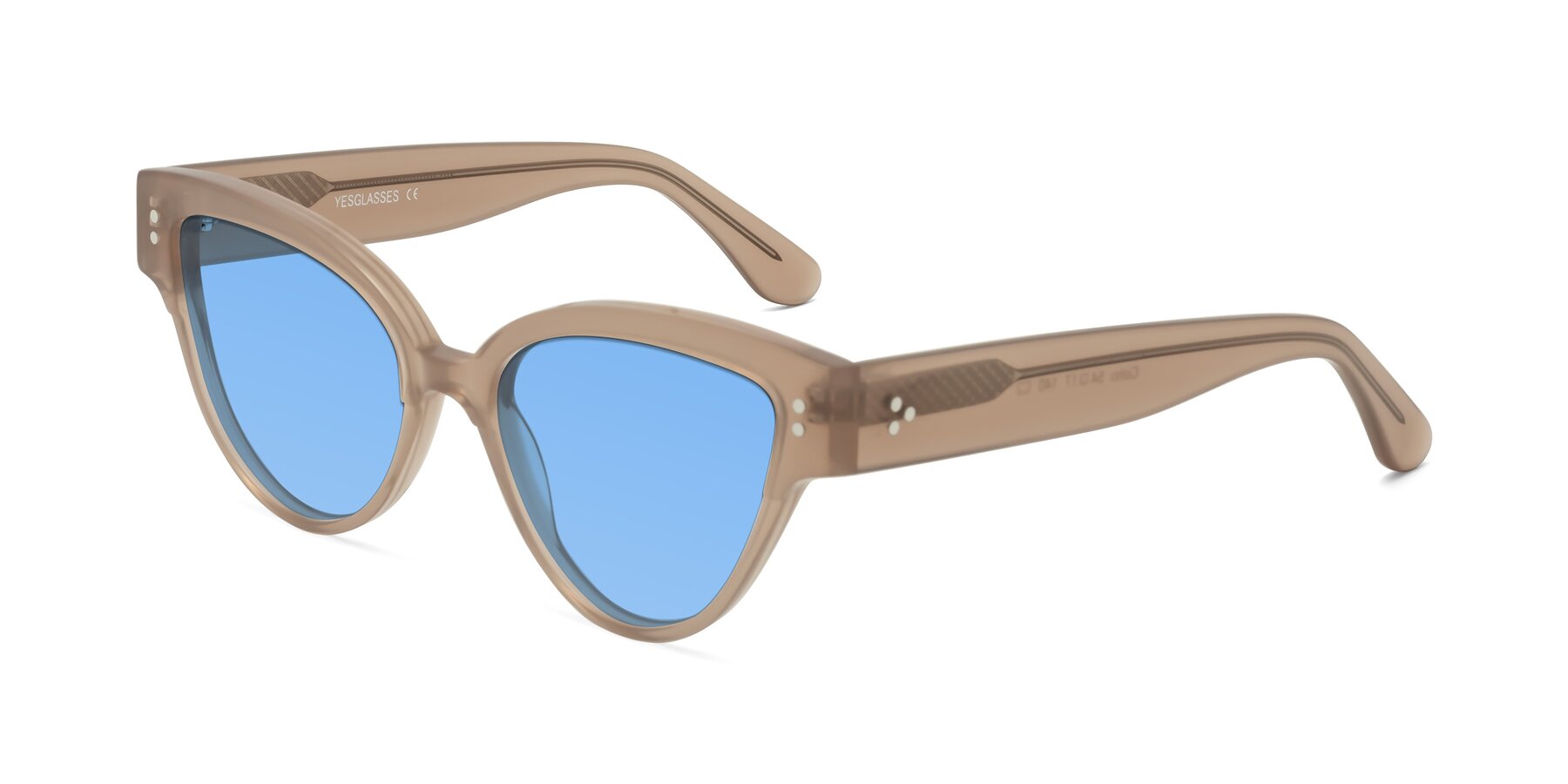 Angle of Coho in Taupe with Medium Blue Tinted Lenses
