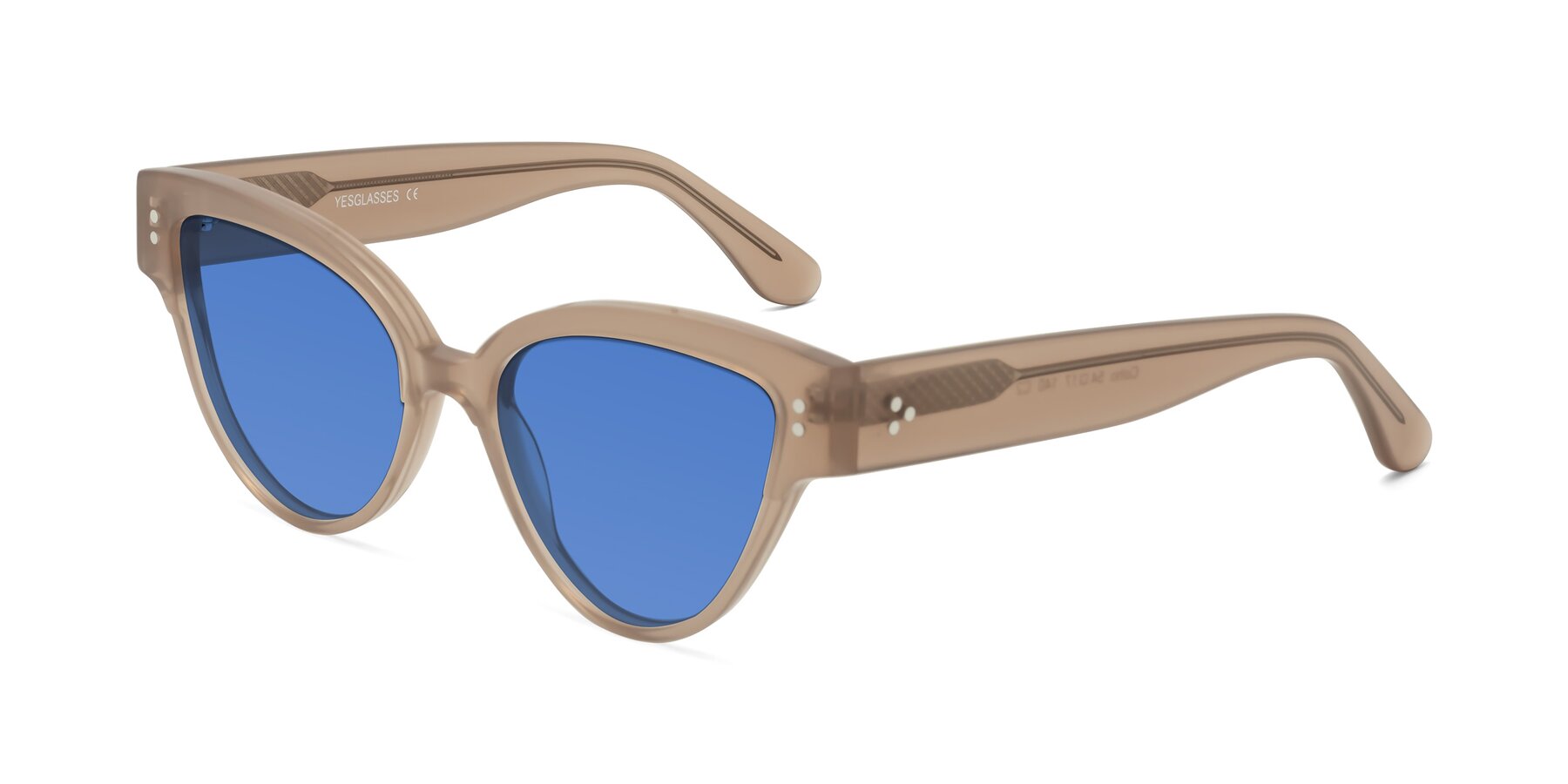 Angle of Coho in Taupe with Blue Tinted Lenses