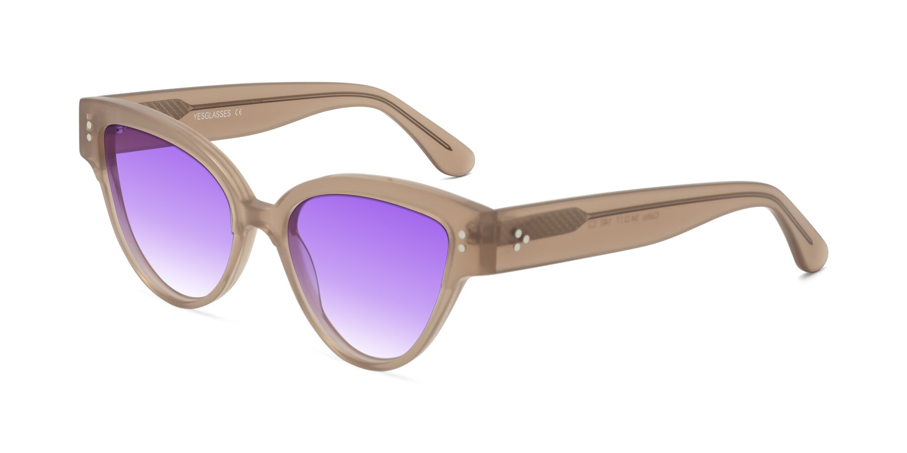 Angle of Coho in Taupe with Purple Gradient Lenses