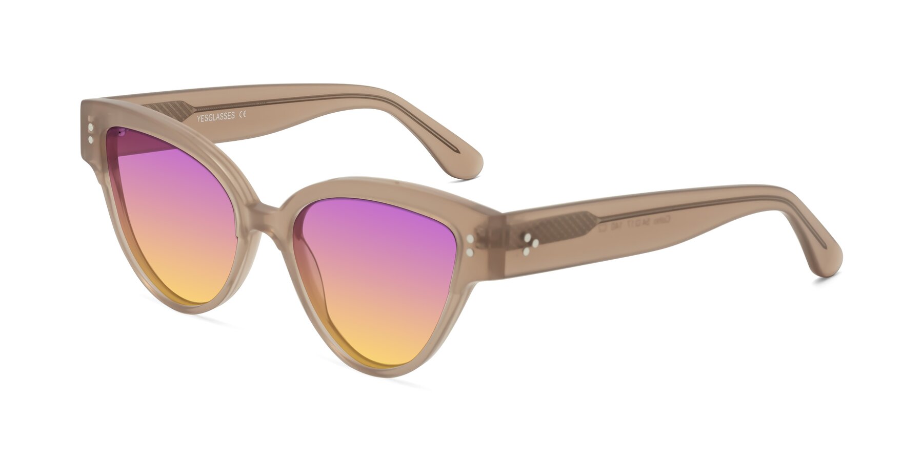 Angle of Coho in Taupe with Purple / Yellow Gradient Lenses