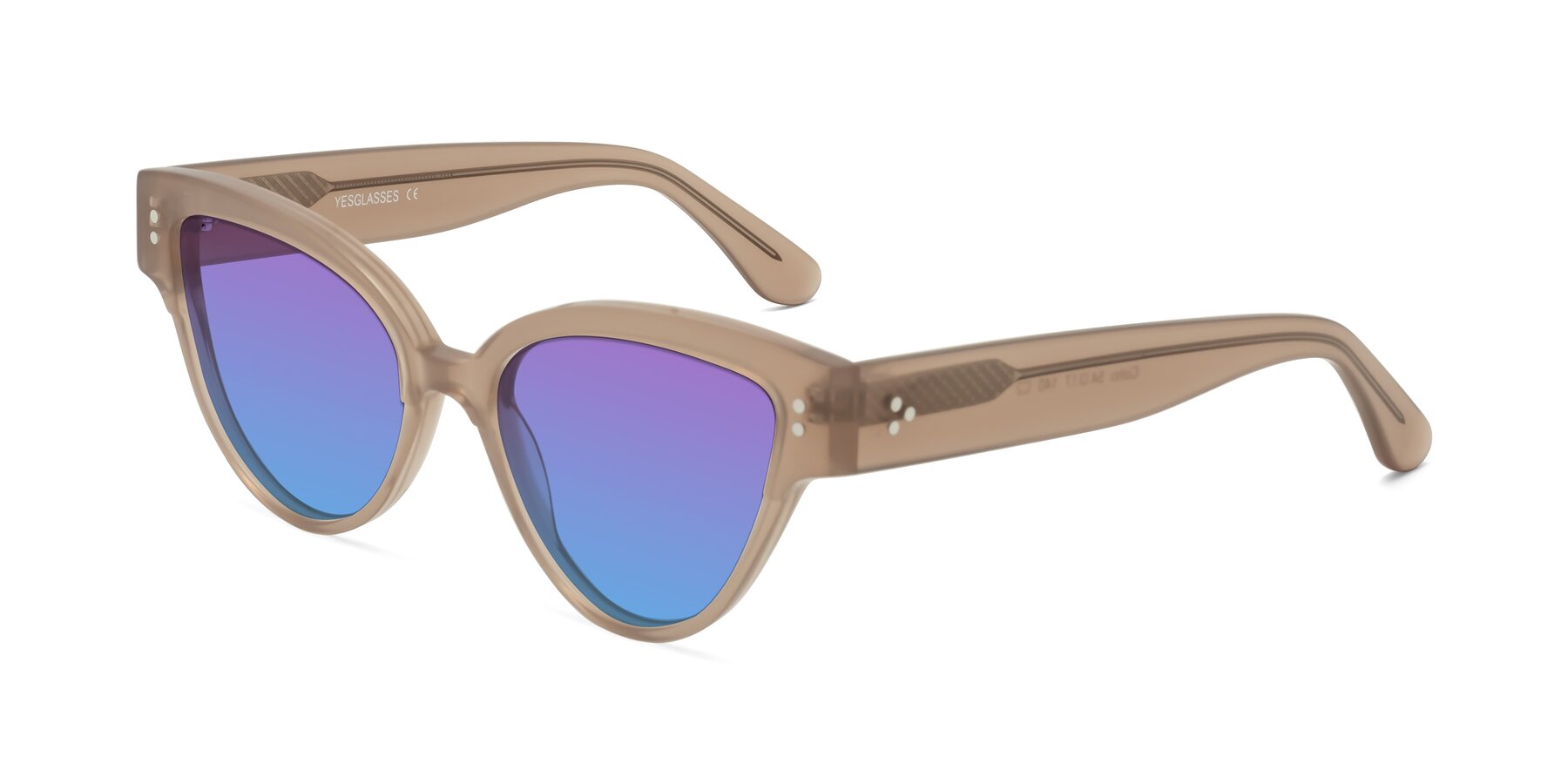 Angle of Coho in Taupe with Purple / Blue Gradient Lenses