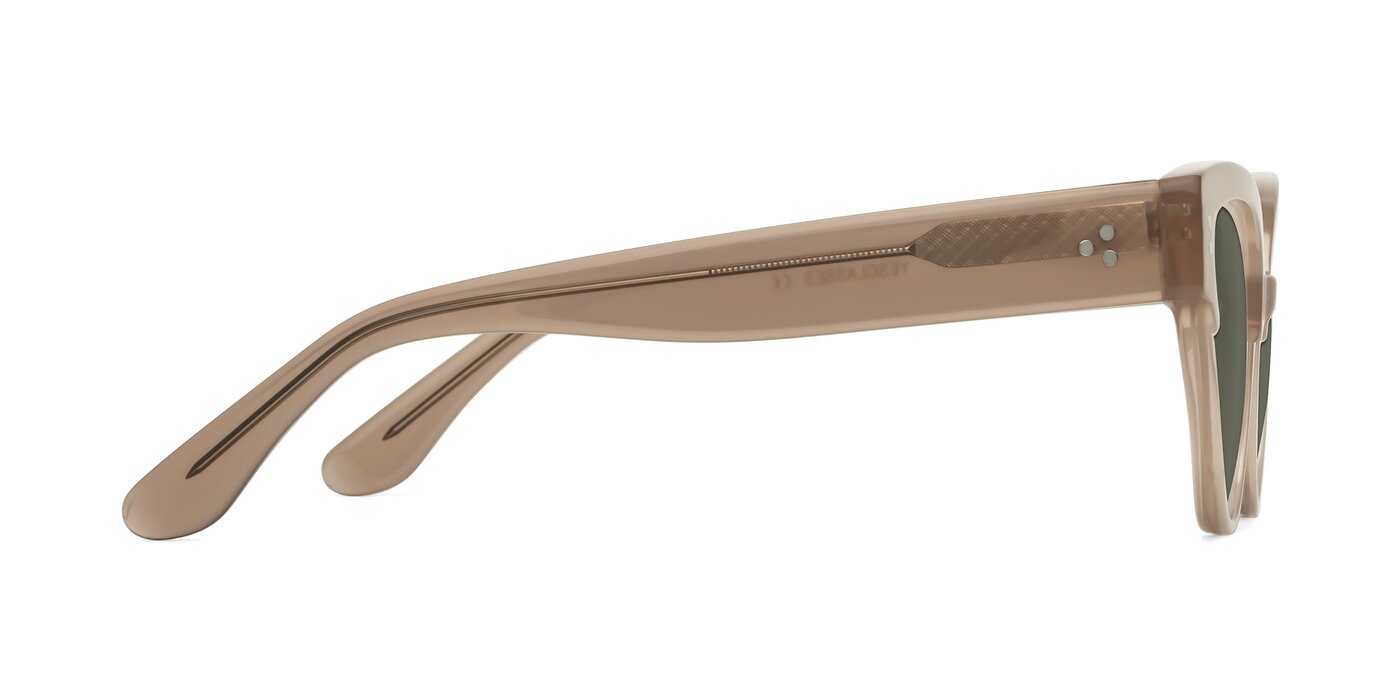 TH 1885S Acetate Round Cat Eye Sunglasses main image 0