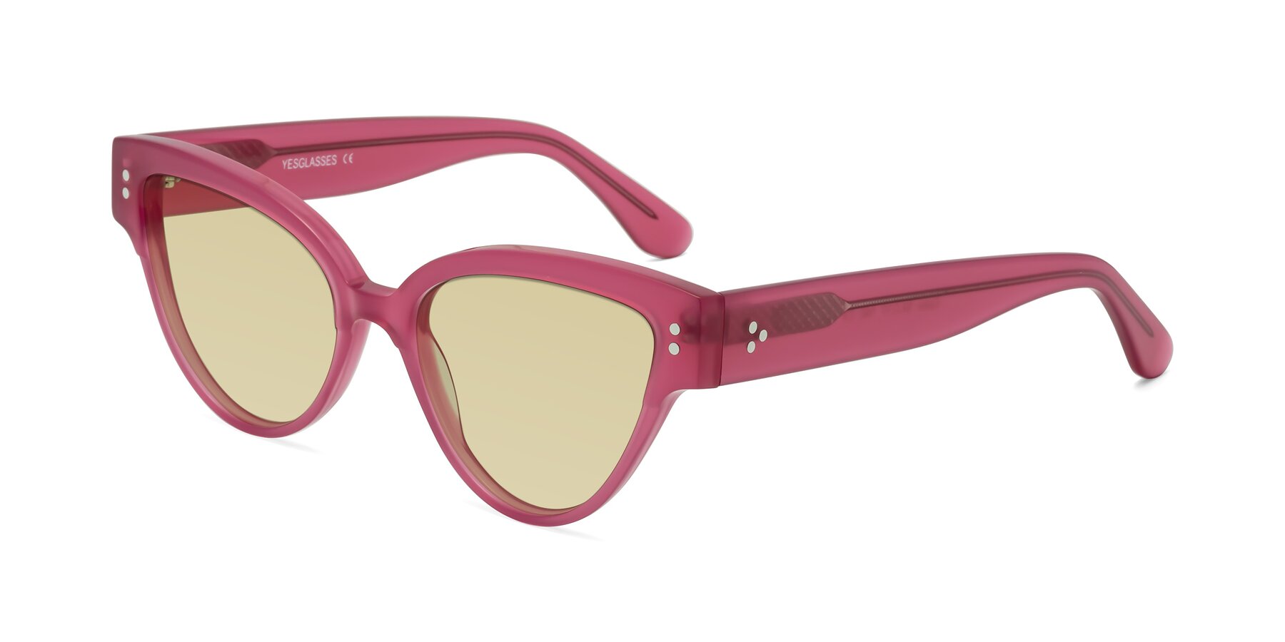 Angle of Coho in Pink with Light Champagne Tinted Lenses