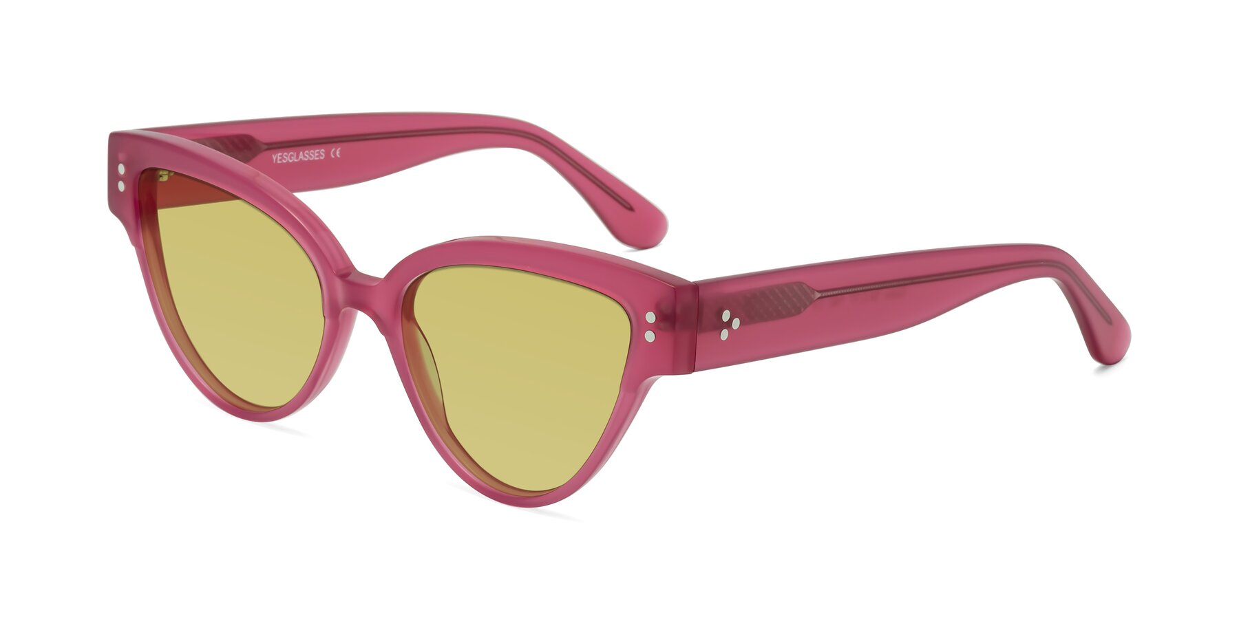 Angle of Coho in Pink with Medium Champagne Tinted Lenses