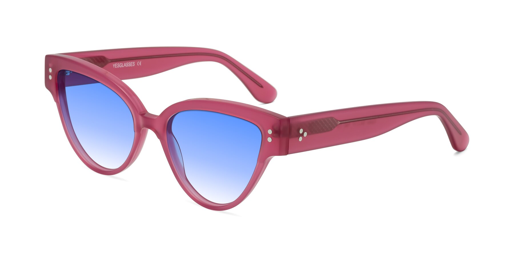 Angle of Coho in Pink with Blue Gradient Lenses