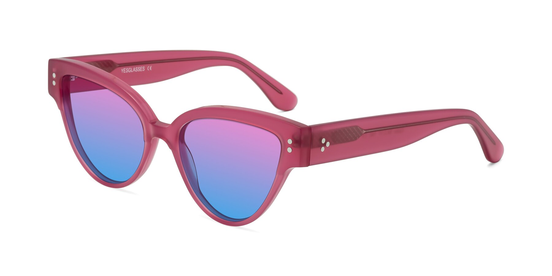 Angle of Coho in Pink with Pink / Blue Gradient Lenses