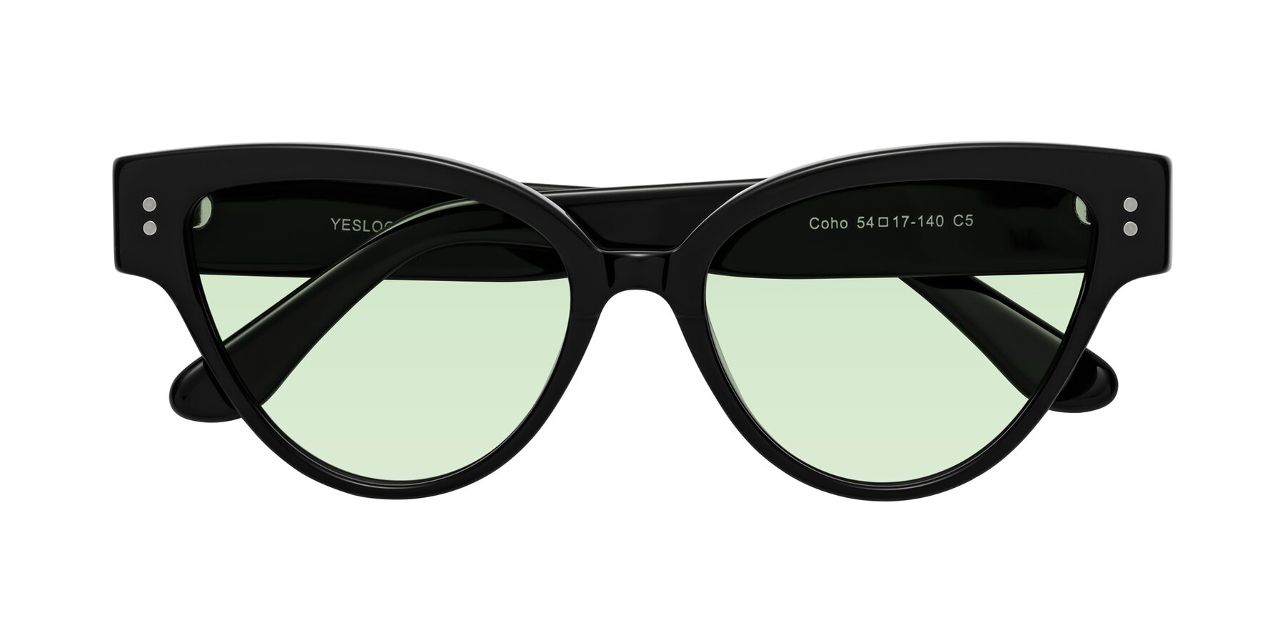 Folded Front of Coho in Black with Light Green Tinted Lenses