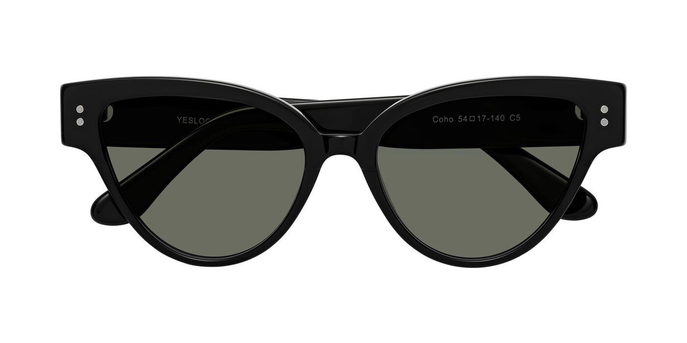 Coho - Black Polarized Sunglasses