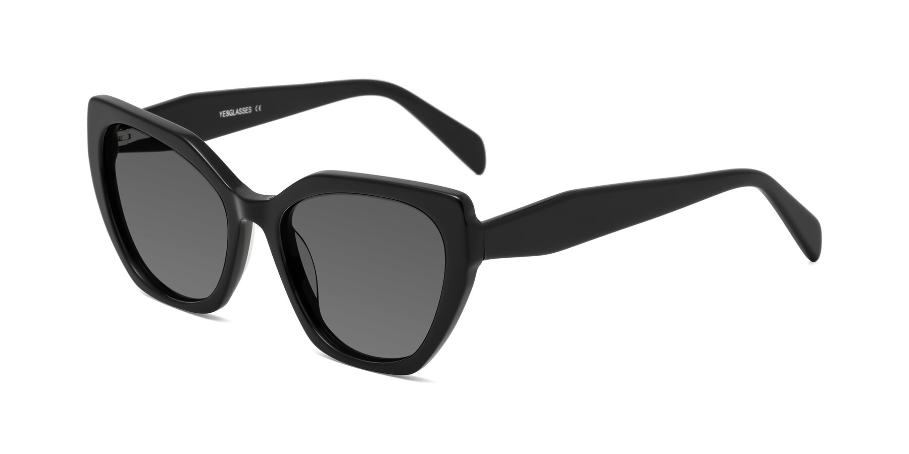 Angle of Tilton in Black with Medium Gray Tinted Lenses