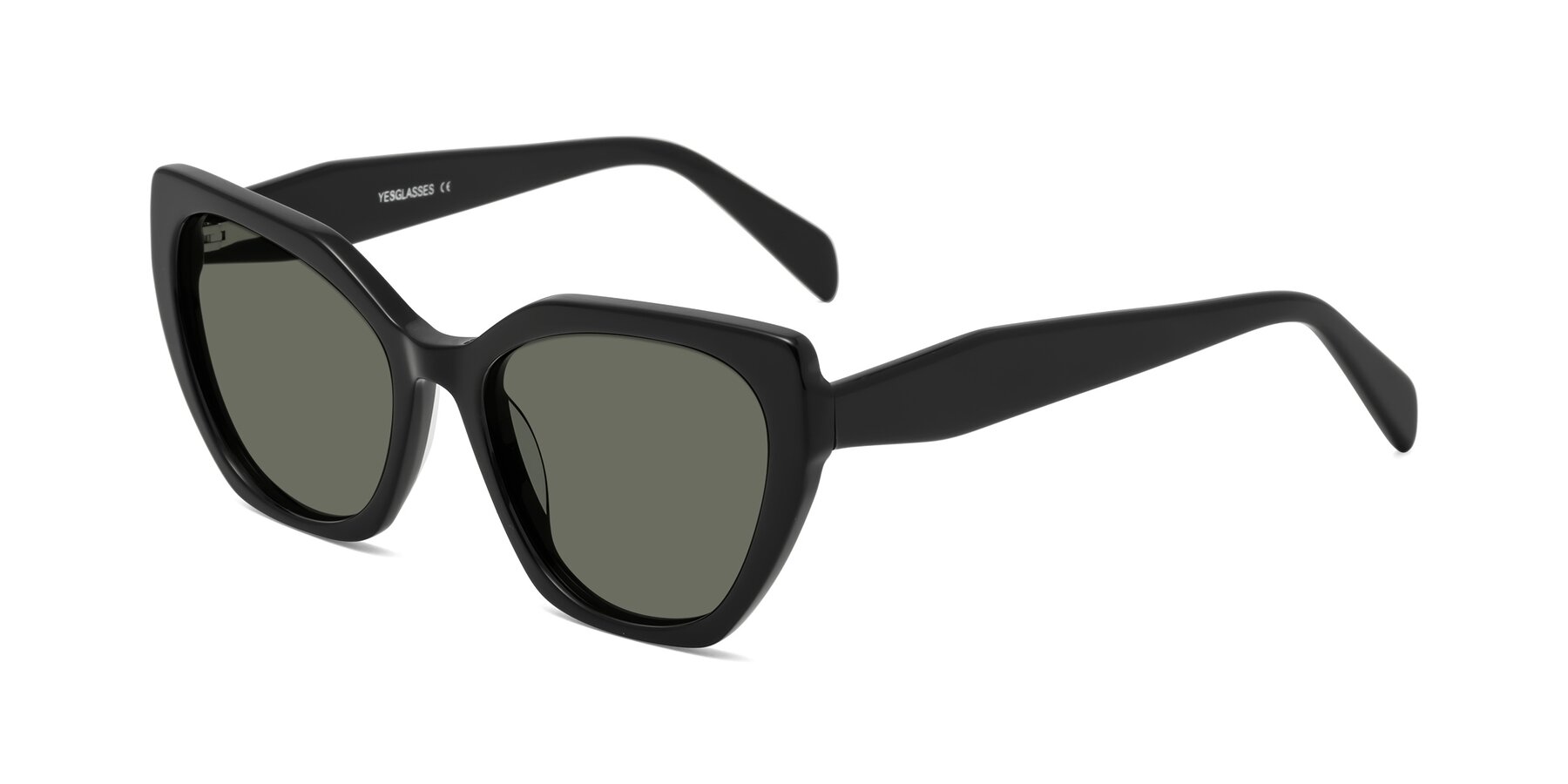 Angle of Tilton in Black with Gray Polarized Lenses