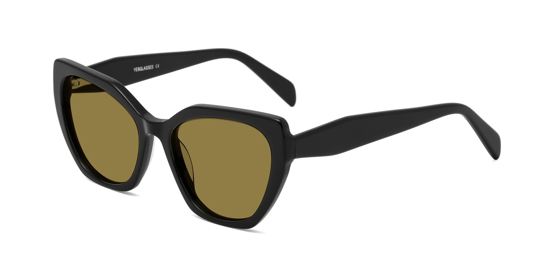 Angle of Tilton in Black with Brown Polarized Lenses