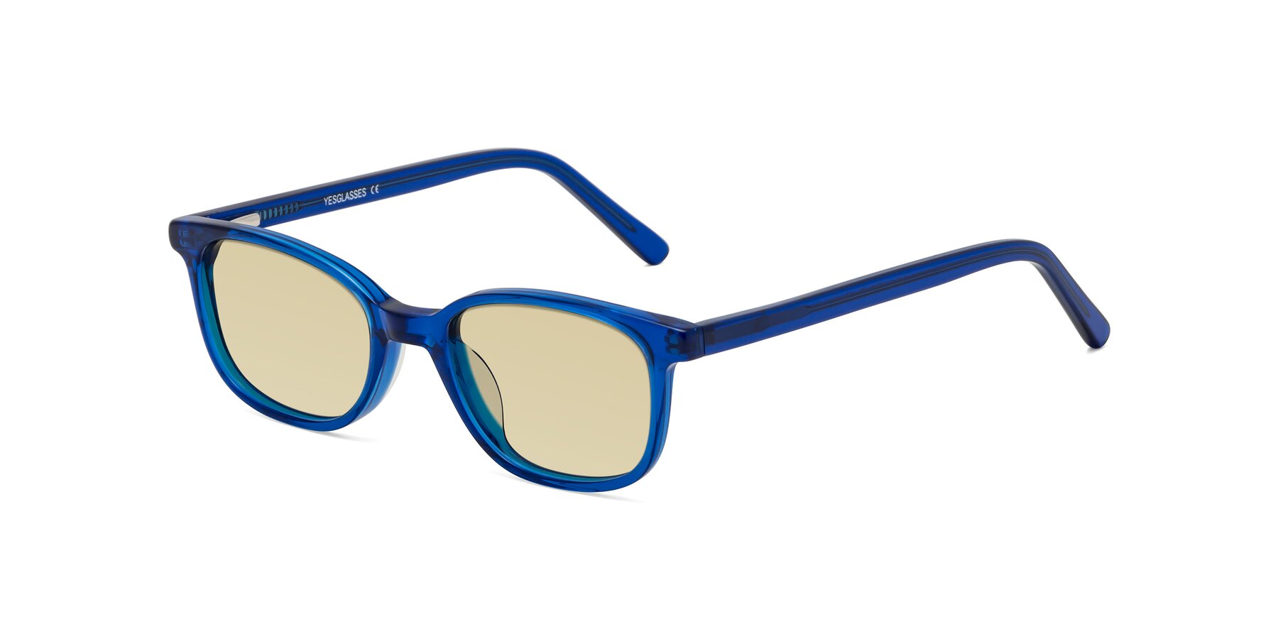 Angle of Jee in Navy Blue with Light Champagne Tinted Lenses