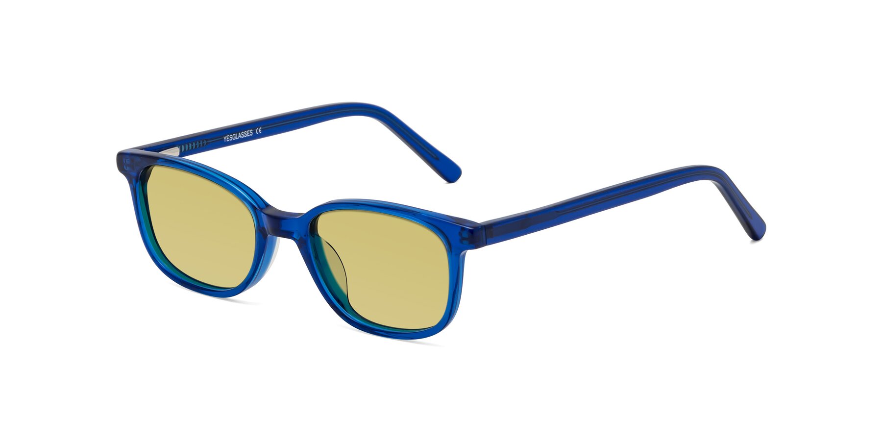 Angle of Jee in Navy Blue with Medium Champagne Tinted Lenses