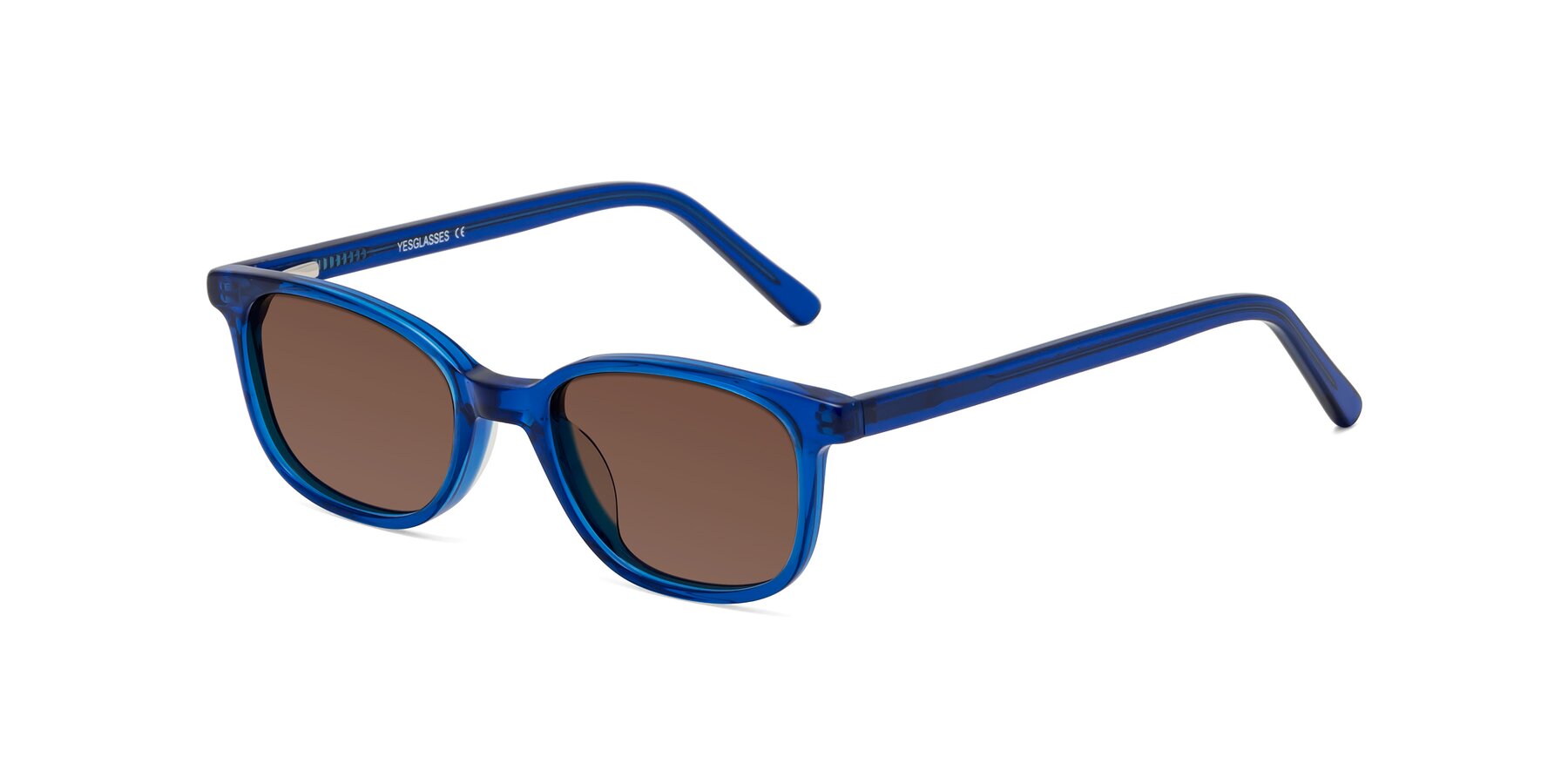Angle of Jee in Navy Blue with Brown Tinted Lenses