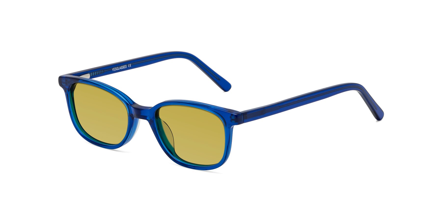 Angle of Jee in Navy Blue with Champagne Tinted Lenses