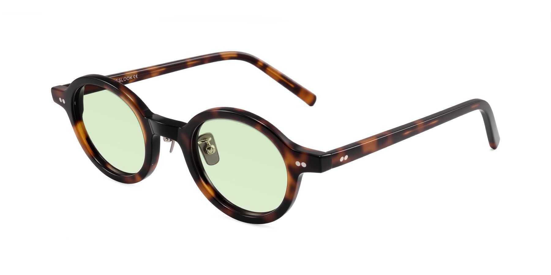 Angle of Rollin in Tortoise with Light Green Tinted Lenses