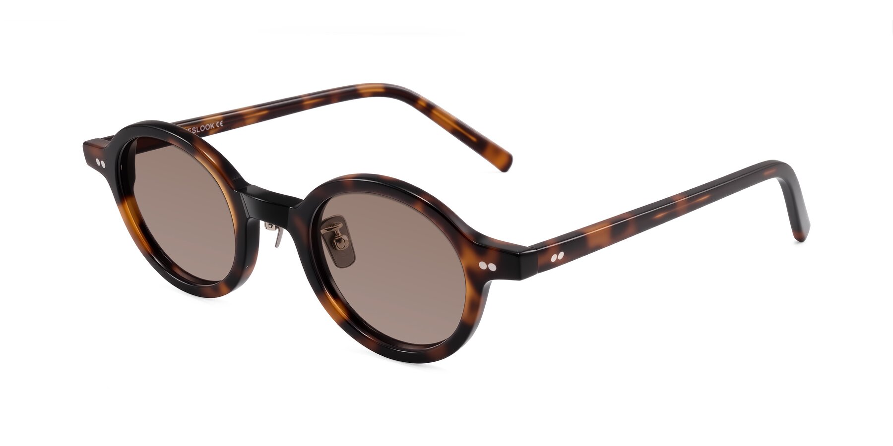 Angle of Rollin in Tortoise with Medium Brown Tinted Lenses