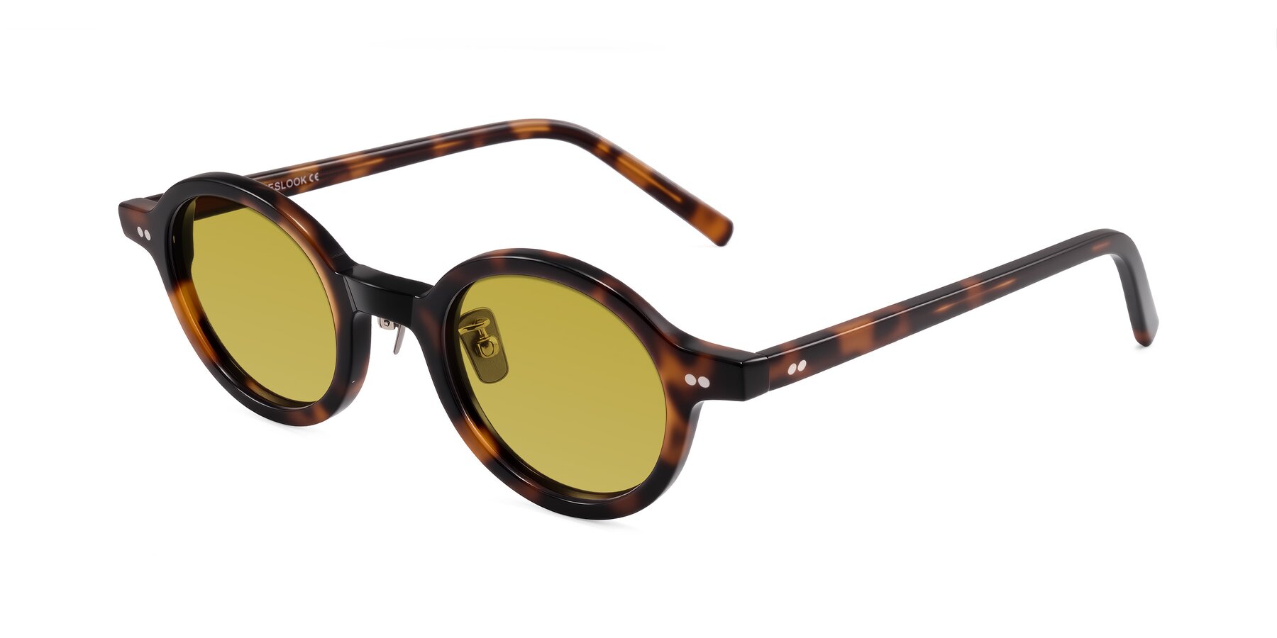 Angle of Rollin in Tortoise with Champagne Tinted Lenses