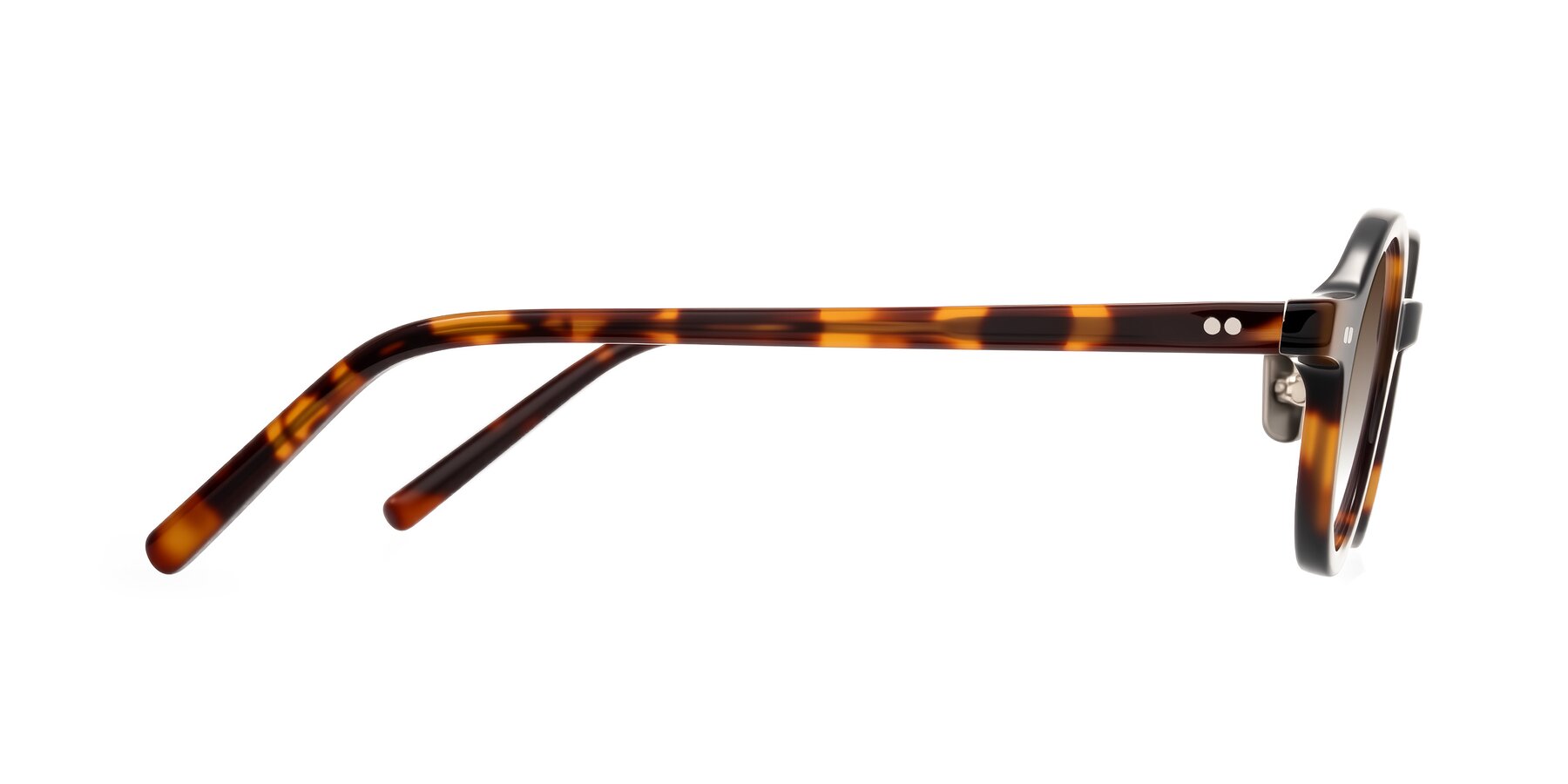 Side of Rollin in Tortoise with Brown Gradient Lenses