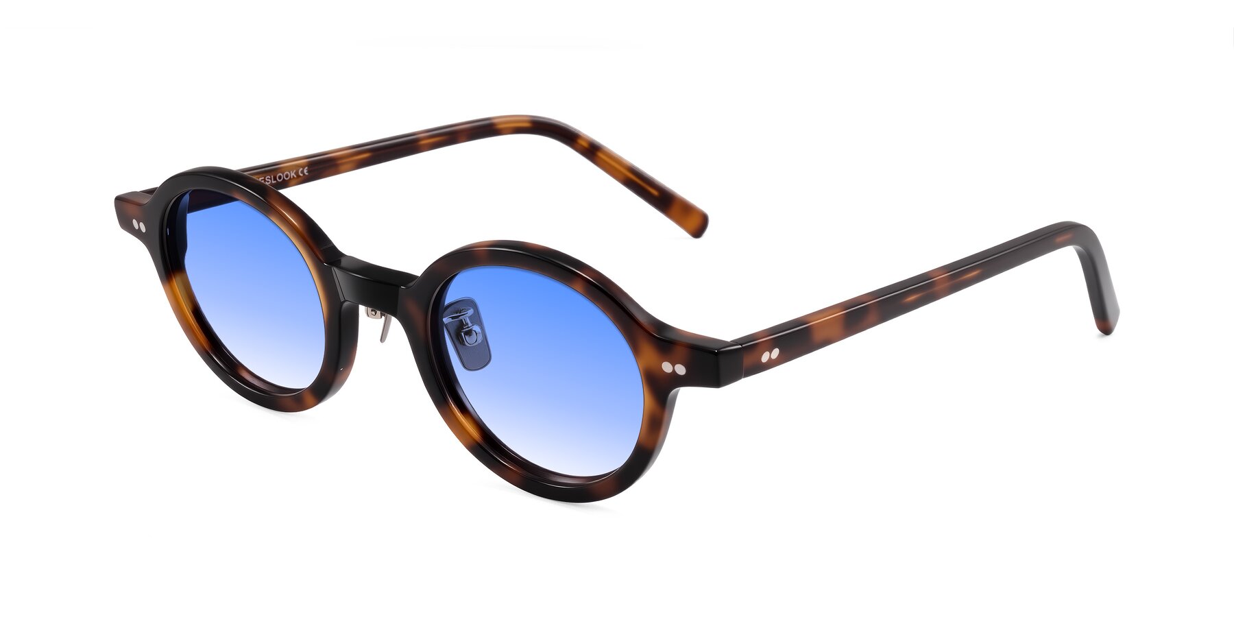 Angle of Rollin in Tortoise with Blue Gradient Lenses