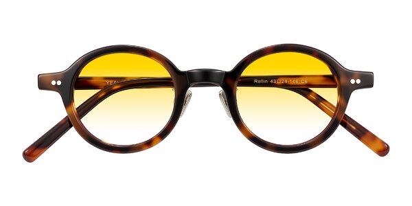 Front of Rollin in Tortoise