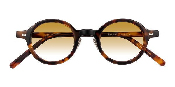 Front of Rollin in Tortoise