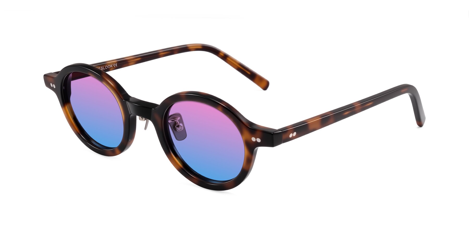Angle of Rollin in Tortoise with Pink / Blue Gradient Lenses