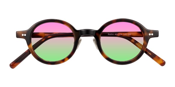 Front of Rollin in Tortoise