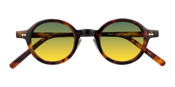 Front of Rollin in Tortoise